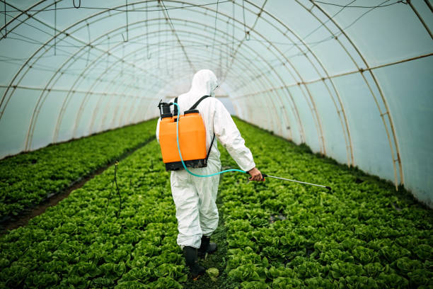Best Pest Control Cost  in Bryn Mawr, PA