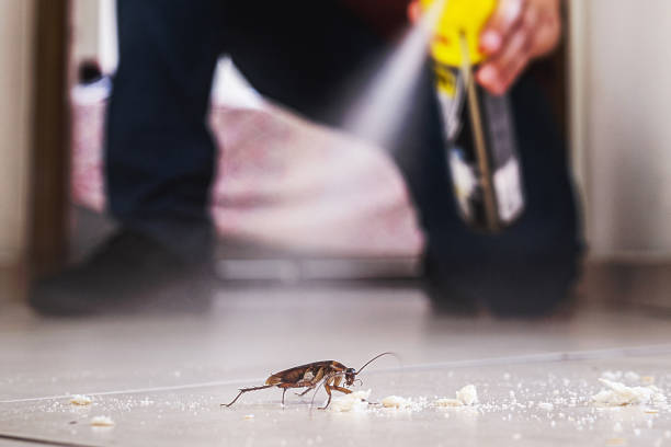 Pest Prevention Services in Bryn Mawr, PA