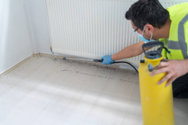 Pest Control Cost in Bryn Mawr, PA